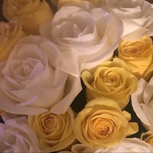 Meet your Posher, Angie